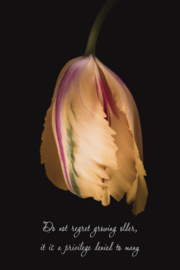 Do not regret growing older - Canvas schilderij