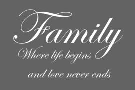 Family where life begins op canvas