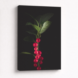 Bladeren op canvas