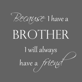 Because I have a brother op canvas