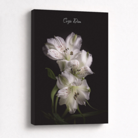 Carpe Diem - Canvas schilderij