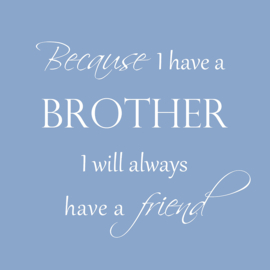 Because I have a brother op canvas blauw