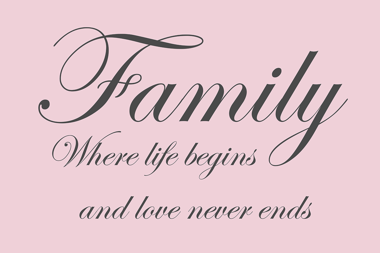Family where life begins op canvas roze