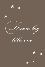 Dream big little one op canvas