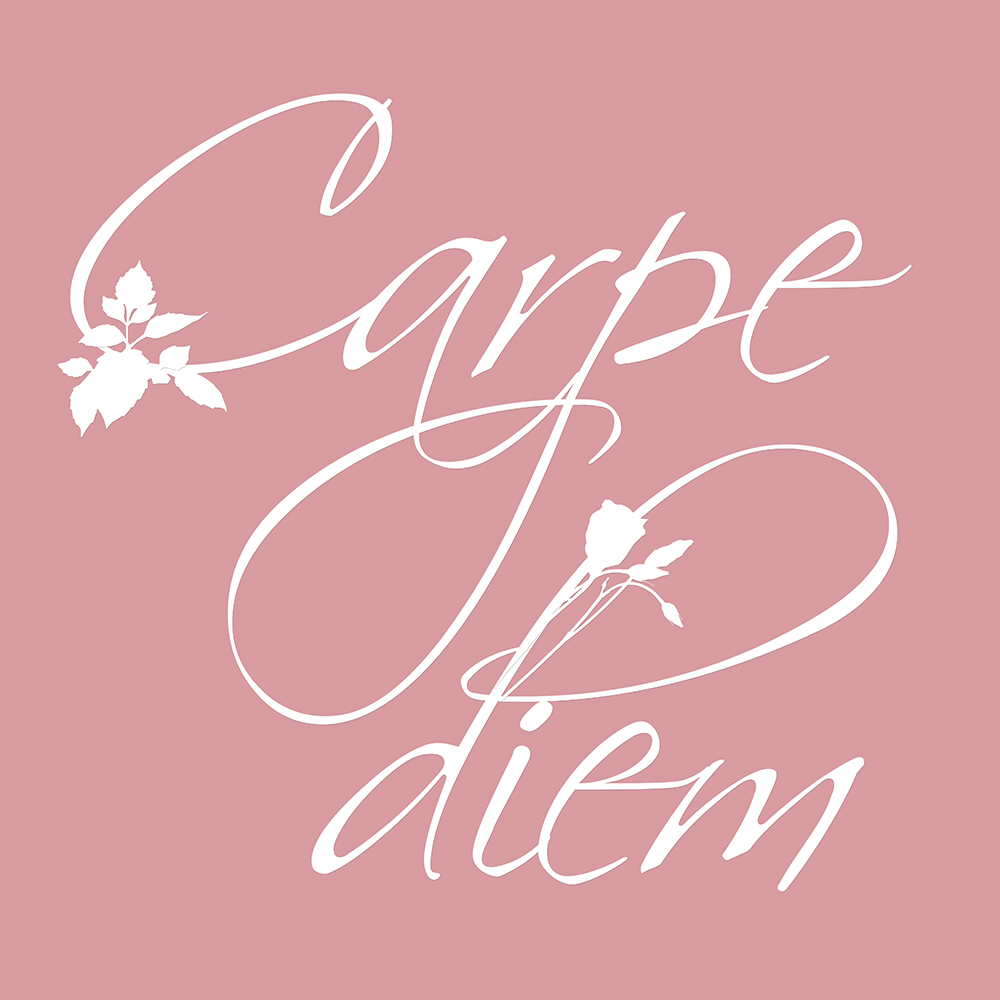 Carpe Diem op canvas roze