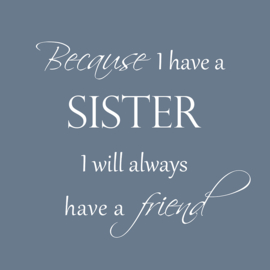 Because I have a sister - Canvas schilderij