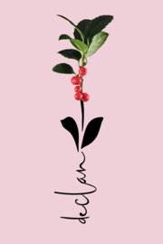 Geboortebloem december - Canvas schilderij