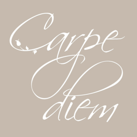 Carpe Diem op canvas