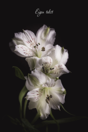 Carpe Diem - Canvas schilderij