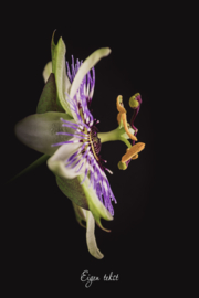 Do it with passion - Canvas schilderij