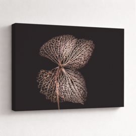 Bruine bloemen op canvas
