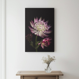 Zeeuws knoopje op canvas