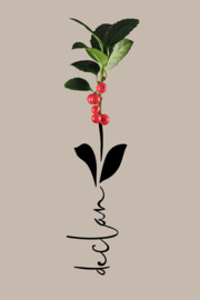 Geboortebloem december - Canvas schilderij