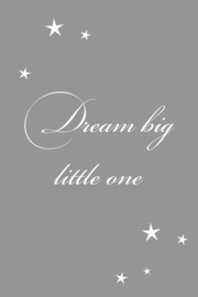 Dream big little one op canvas