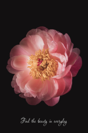 Find the beauty in everyday - Canvas schilderij