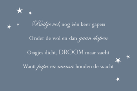 Buikje vol - Canvas schilderij