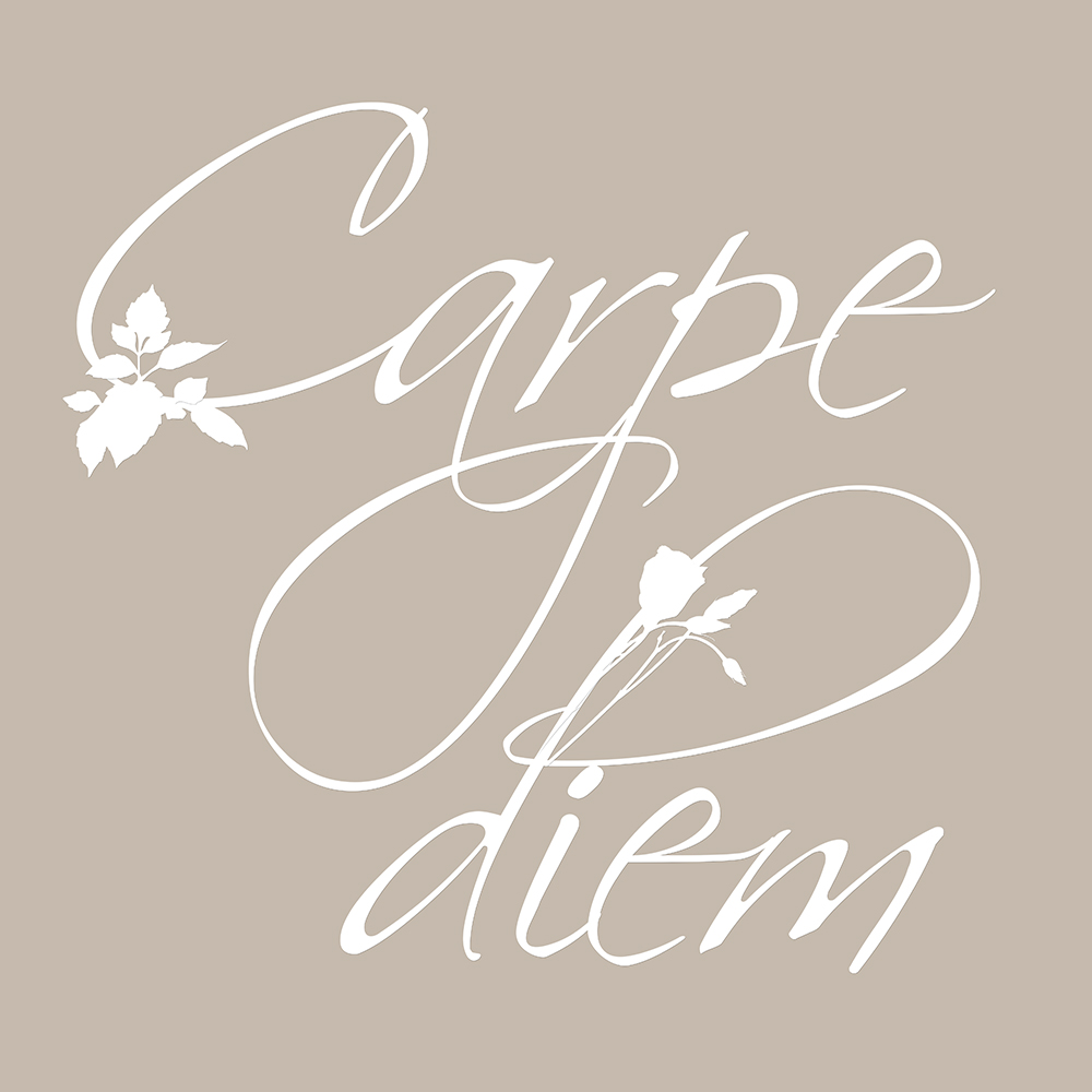 Carpe Diem op canvas taupe