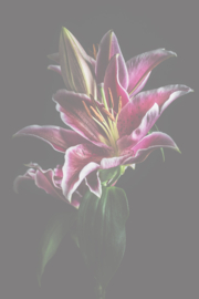 Bloemen staand