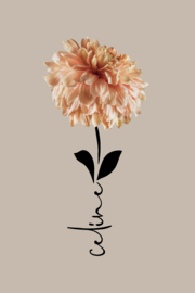 Geboortebloem november op canvas