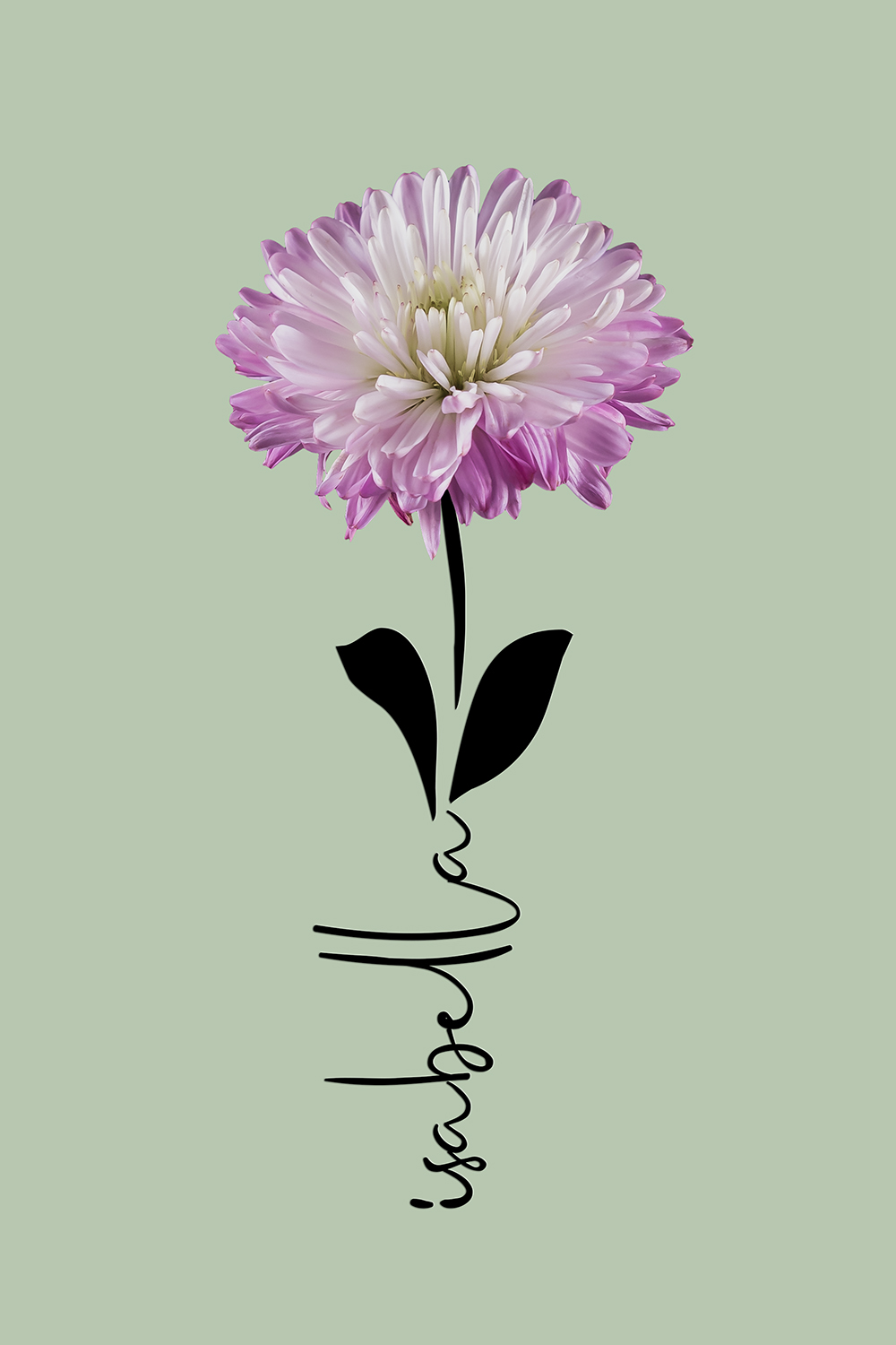 Geboortebloem september op canvas