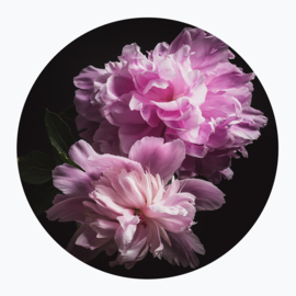 Roze bloemen op muurcirkel