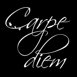 Carpe Diem op canvas