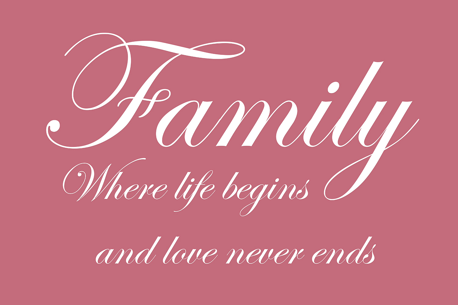 Family where life begins op canvas roze