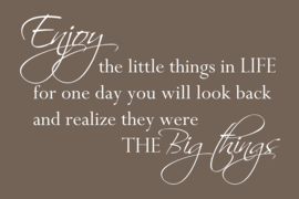 Enjoy the little things op canvas