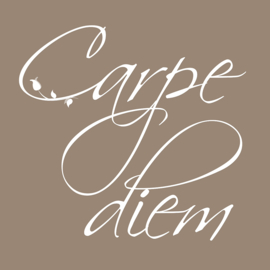 Carpe Diem op canvas