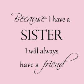 Because I have a sister op canvas roze