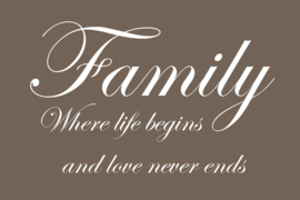 Family where life begins op canvas
