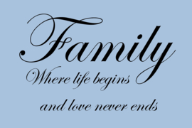 Family where life begins op canvas
