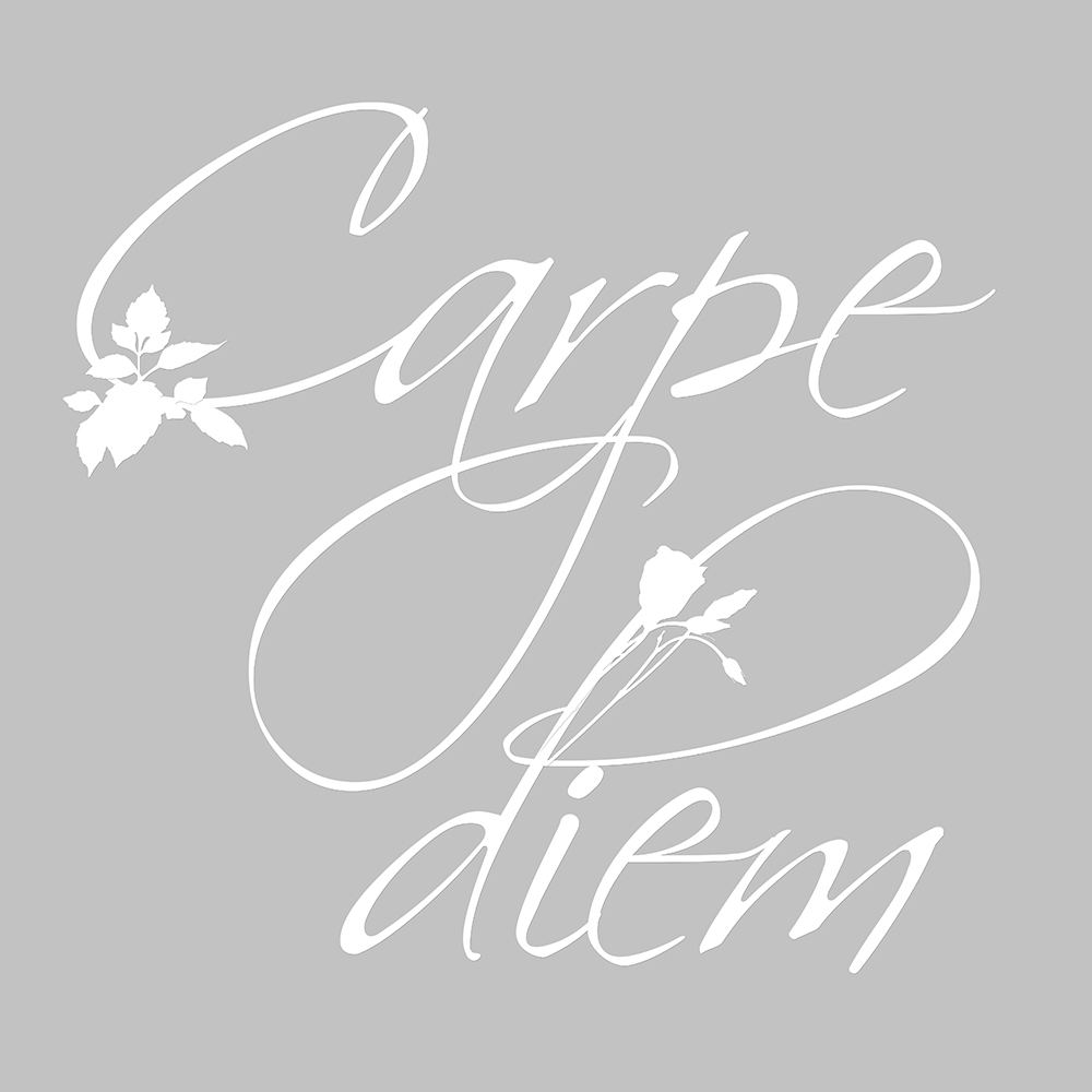 Carpe Diem op canvas grijs