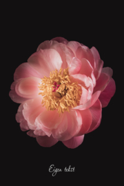 Find the beauty in everyday - Canvas schilderij