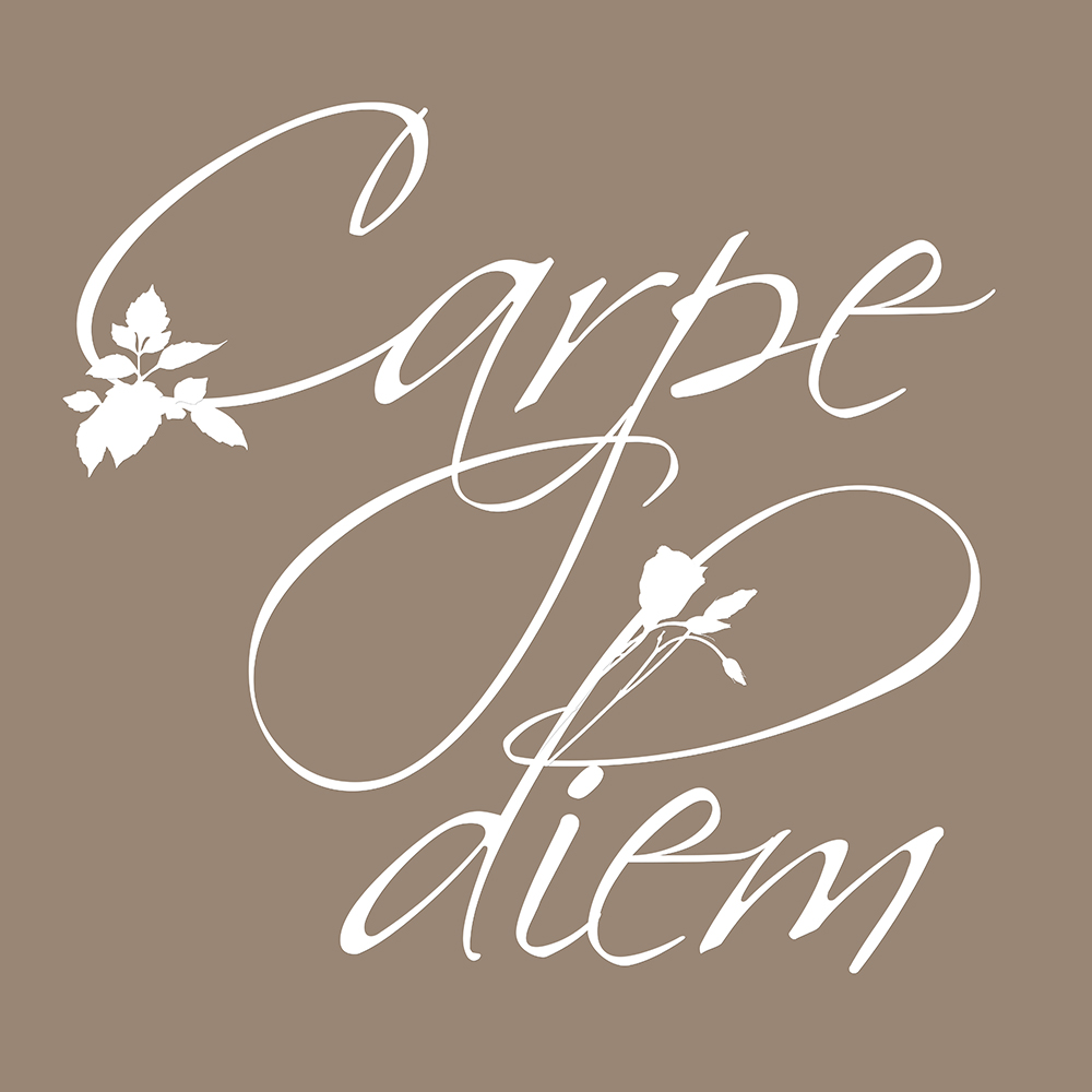 Carpe Diem op canvas taupe
