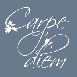 Carpe Diem - Canvas schilderij