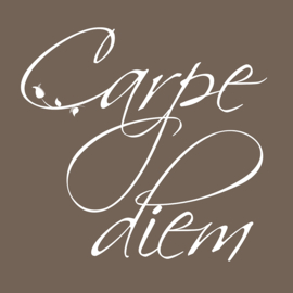 Carpe Diem op canvas