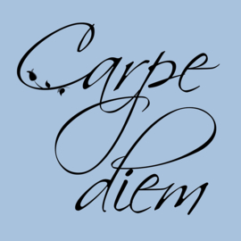 Carpe Diem op canvas