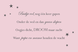 Tekst op canvas lichtroze