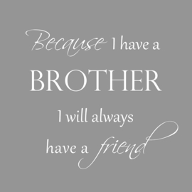 Because I have a brother op canvas