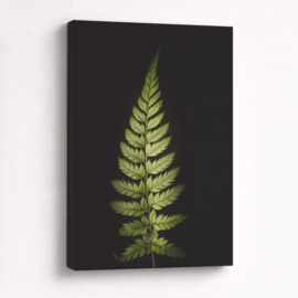 Bladeren op canvas