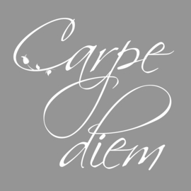 Carpe Diem op canvas