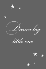 Dream big little one op canvas