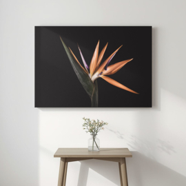 Paradijsvogelbloem op canvas