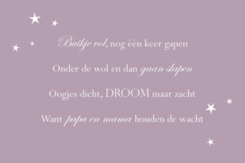 Tekst op canvas paars