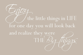 Enjoy the little things op canvas