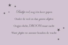 Tekst op canvas lichtpaars