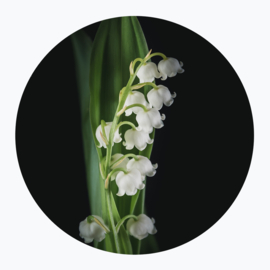 Witte bloemen op muurcirkel