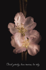 Cherish yesterday - Canvas schilderij