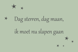 Tekst op canvas lichtgroen